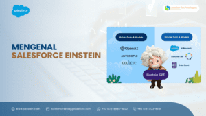 Salesforce-Einstein